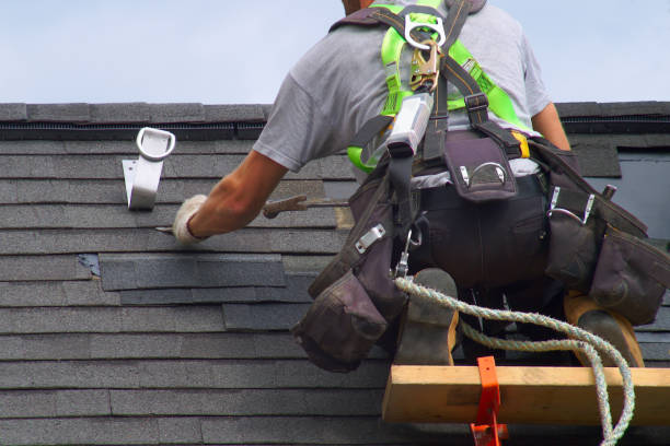 Best Roof Gutter Cleaning  in Stanberry, MO
