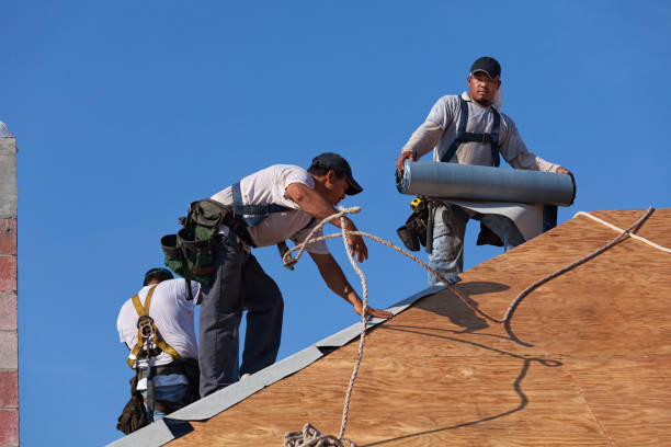Best Metal Roofing Contractor  in Stanberry, MO