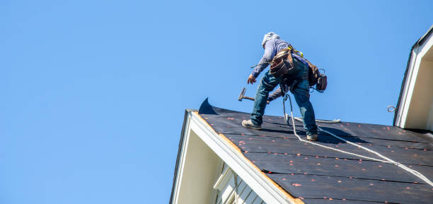 Best Roof Gutter Cleaning  in Stanberry, MO